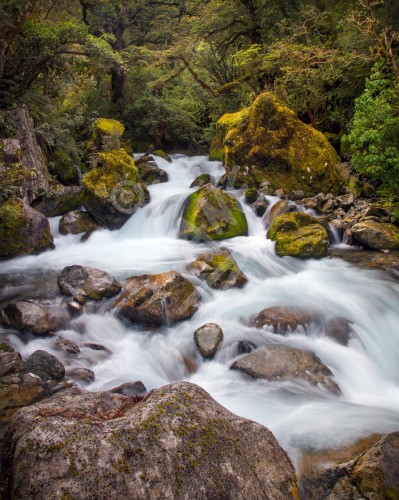 NEW ZEALAND Hollyford River